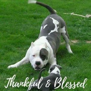 Meet your Posher, Keith